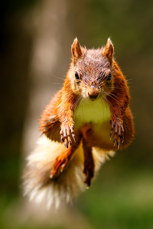 The Catapult works then